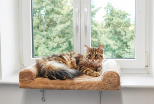 Katzen Fensterliegebrett f. Fensterbänke Katzen Bett beige